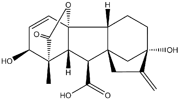 赤霉素GIBBERELLIC ACID，居然有這么神奇？